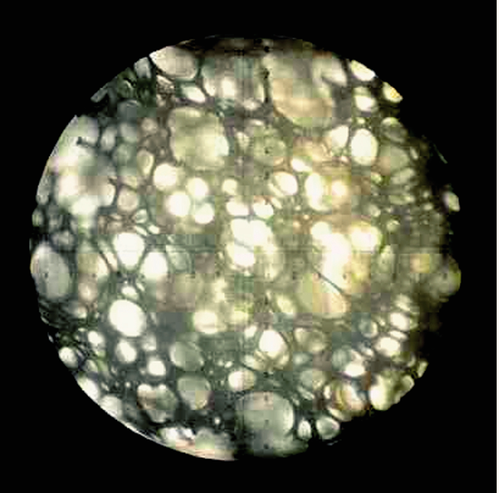 Latex open cell structure